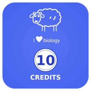 10 credits pack