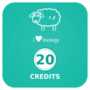20 credits pack