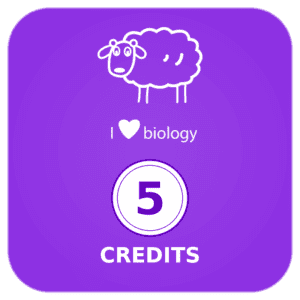 5 credits pack
