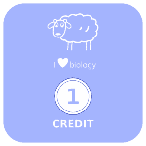 1 credit